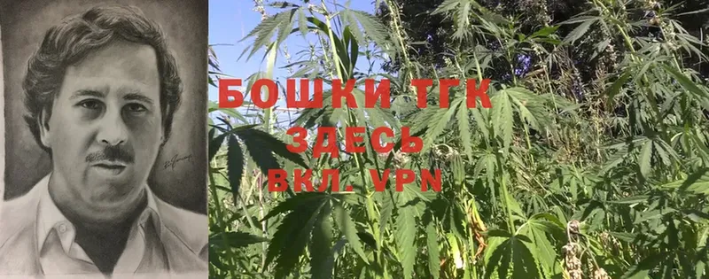 купить наркотики сайты  Вязьма  Бошки Шишки White Widow 